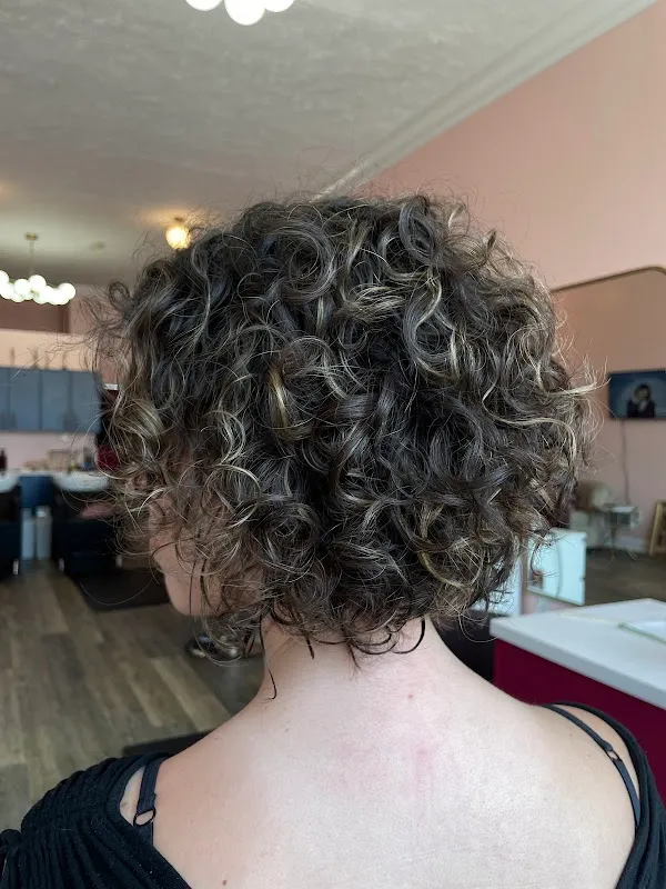 Wild Rose Hair Studio