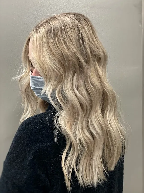 Wild Rose Hair Studio