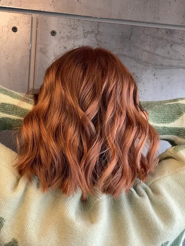 Wild Rose Hair Studio