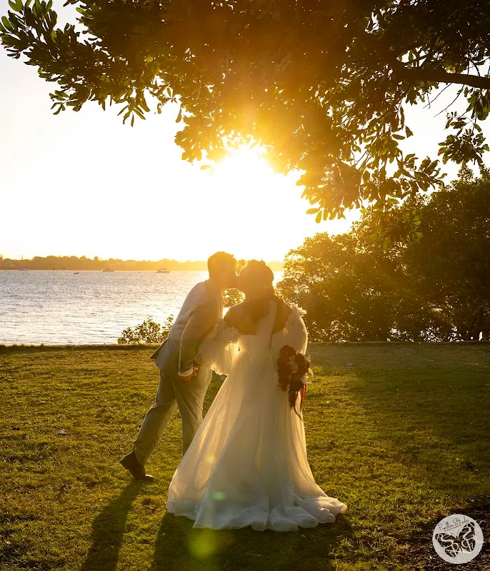 Papillon Studio Photography