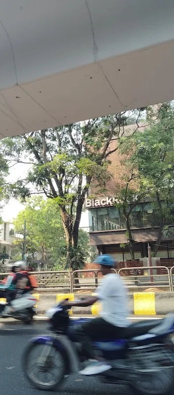 The BlackBx Studio