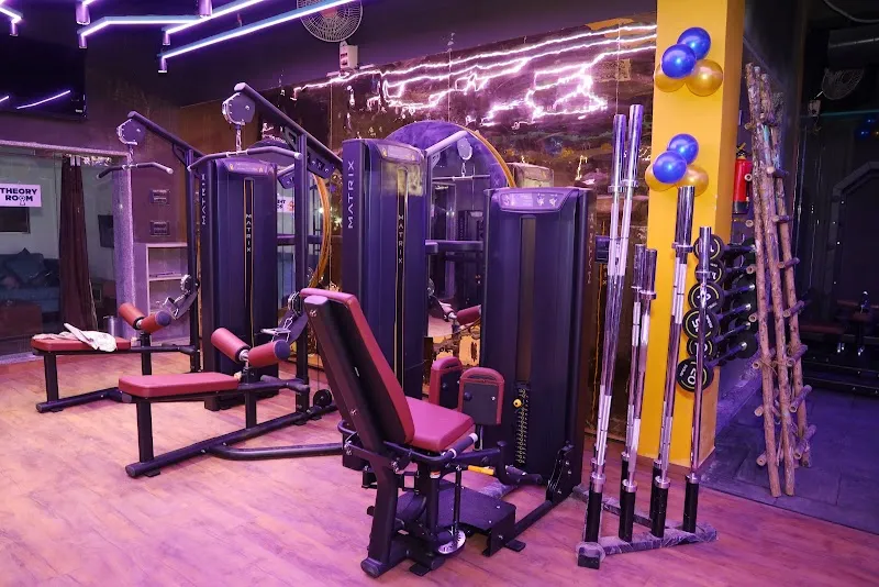 Alligator gym & Fitness Studio | Paharganj