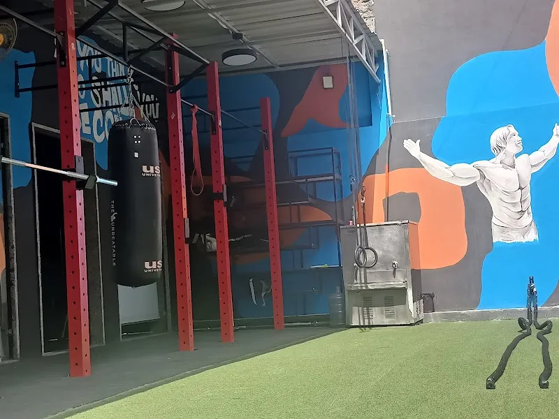 Alligator gym & Fitness Studio | Paharganj