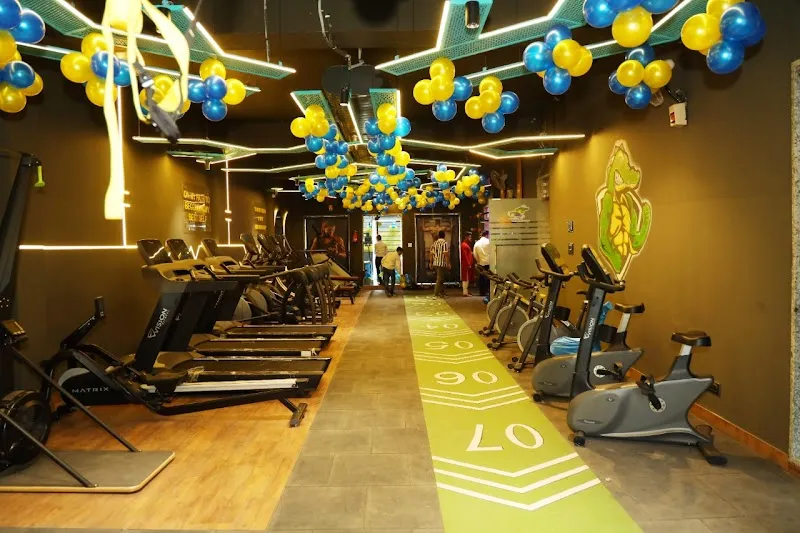 Alligator gym & Fitness Studio | Paharganj