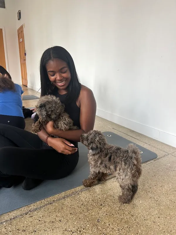 Puppy Sphere | Puppy Yoga (Lower Manhattan)