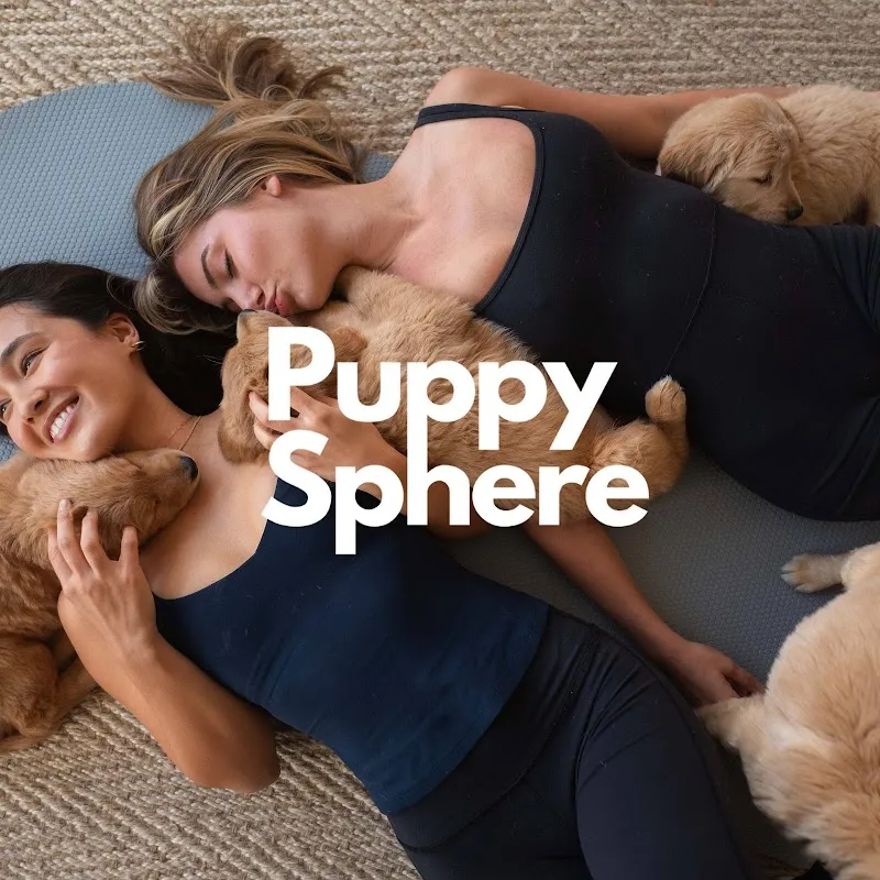 Puppy Sphere | Puppy Yoga (Lower Manhattan)