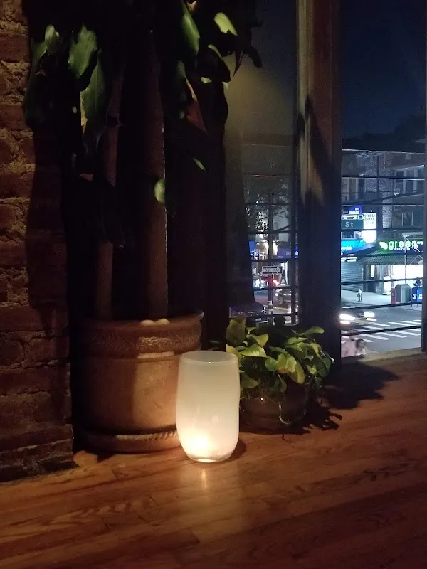 Yoga Agora