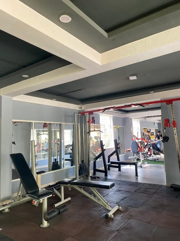 B FIT