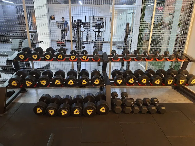 B FIT