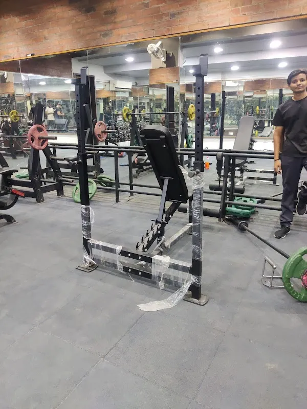 Yogi The Fitness Zone
