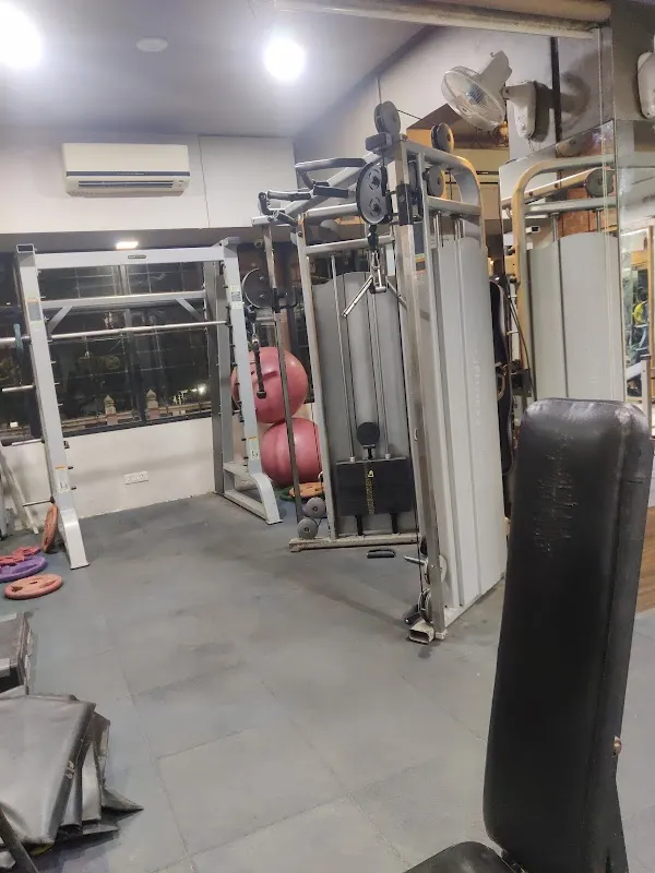 Yogi The Fitness Zone