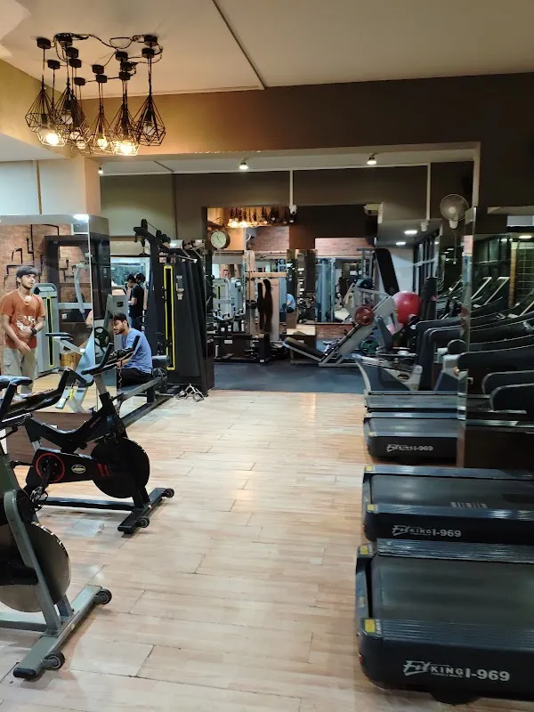 Yogi The Fitness Zone