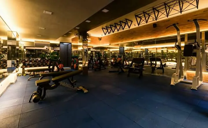 Yogi The Fitness Zone