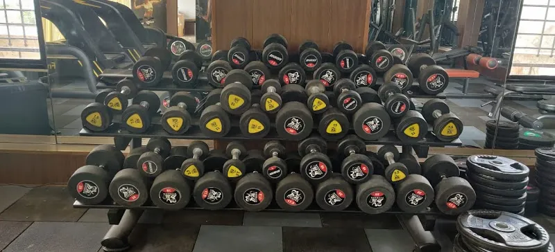 Fit-Art Gym