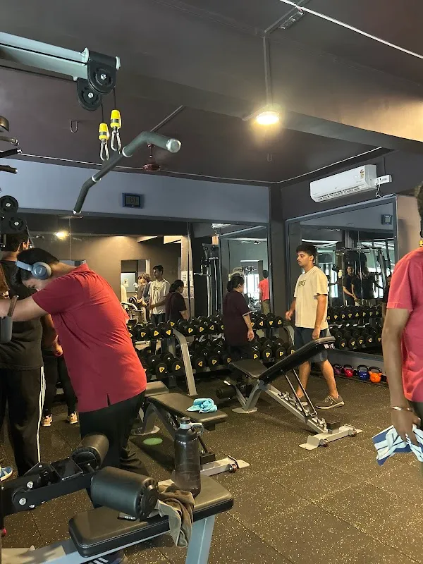 MP's Fitness World