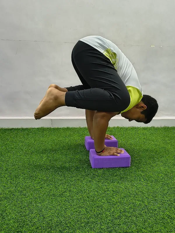 Yog Studio
