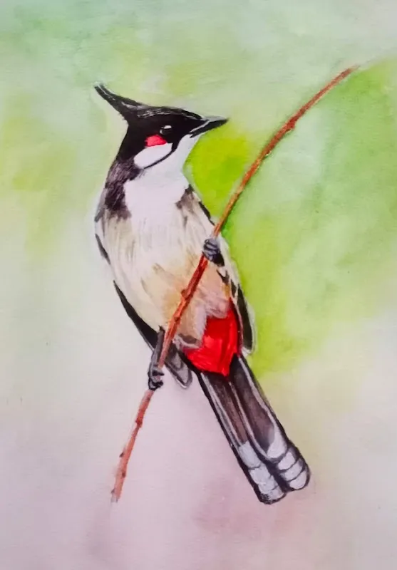 IndraDhanush Drawing School