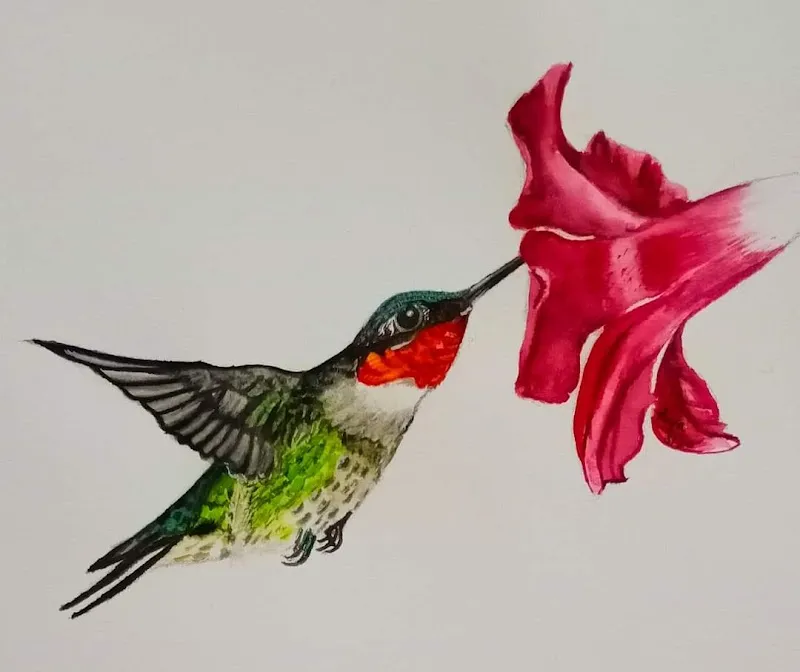 IndraDhanush Drawing School