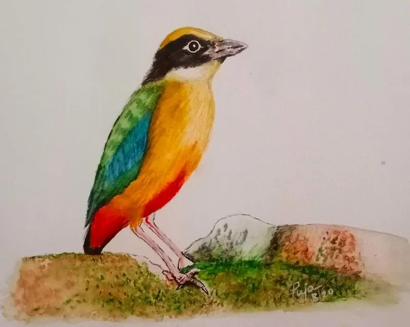 IndraDhanush Drawing School