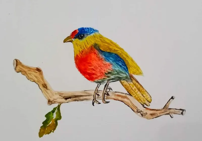 IndraDhanush Drawing School