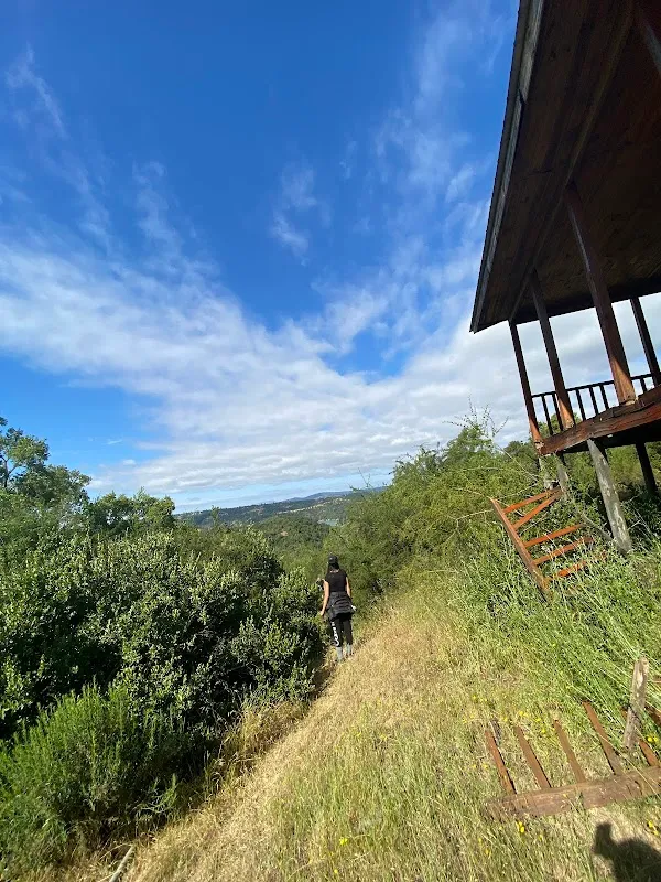 Centro de Yoga Ananda Marga