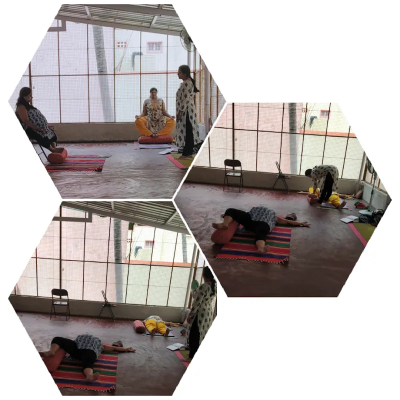 Ayurdhama Ayurveda and Yoga Centre