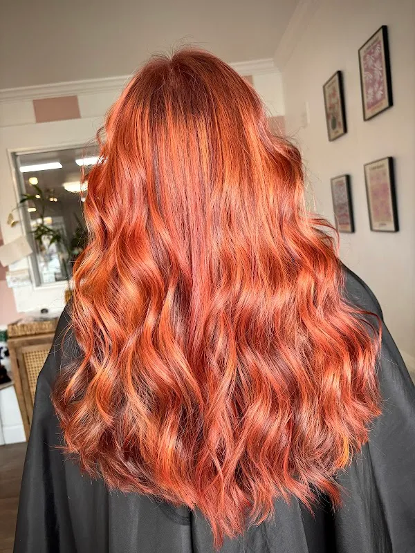 Salon 5 Sixteen