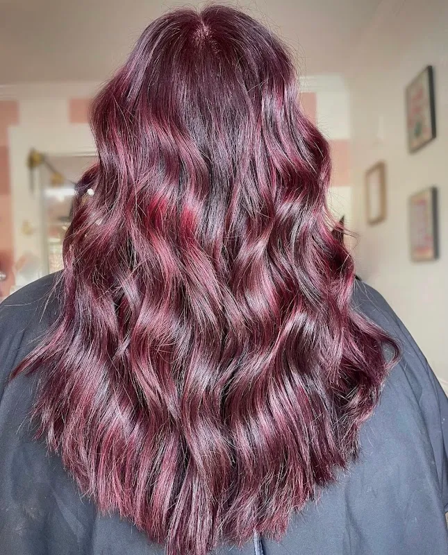 Salon 5 Sixteen