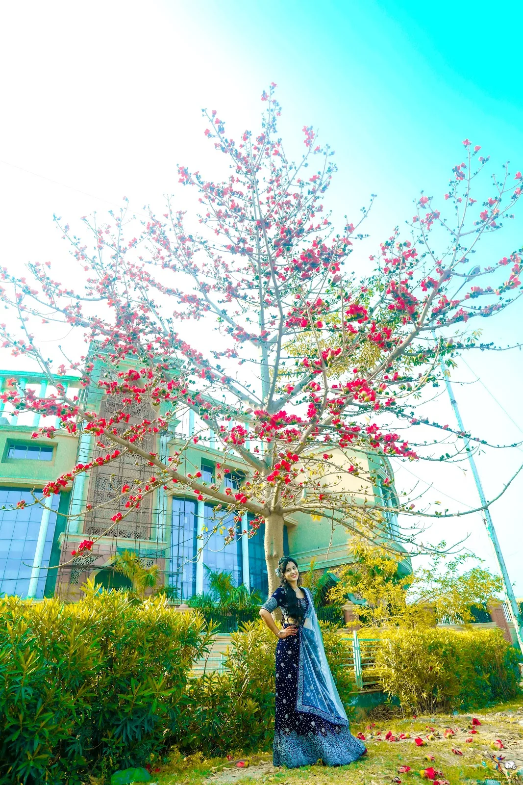 Parihar Photography
