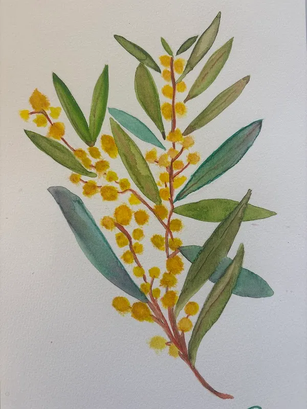 Little Forest Art Studio