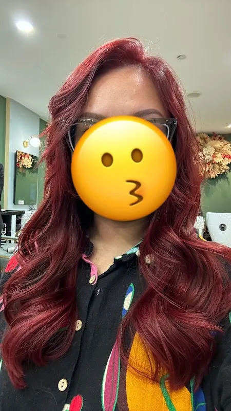 Organic Express Hair Color Lab
