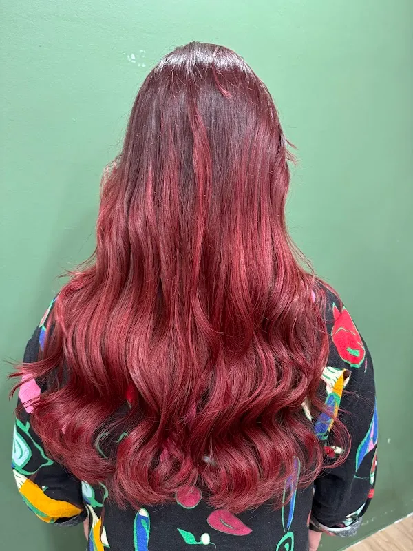 Organic Express Hair Color Lab