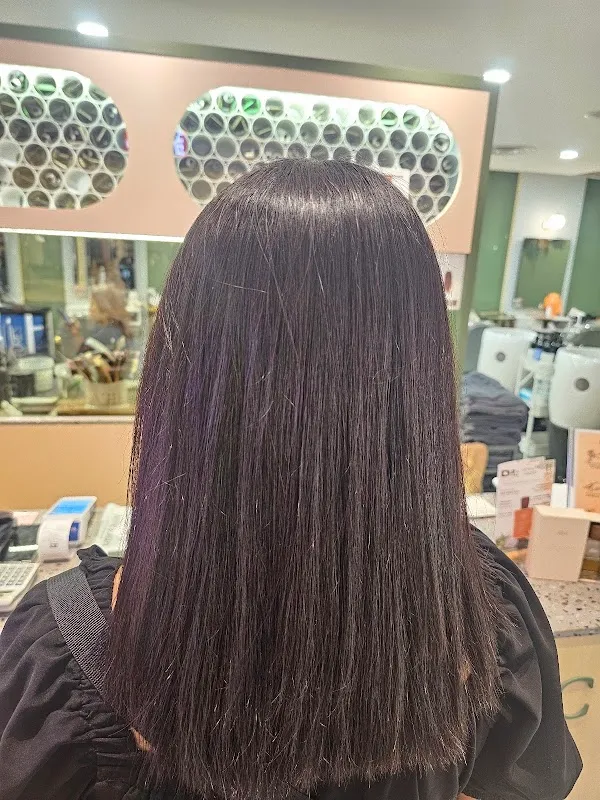 Organic Express Hair Color Lab