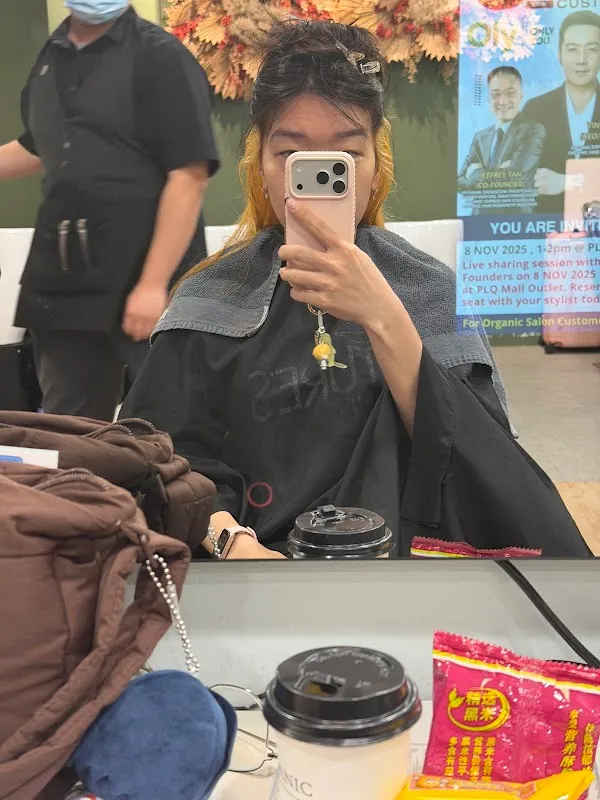 Organic Express Hair Color Lab