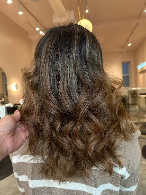 Fox and Jane Salon
