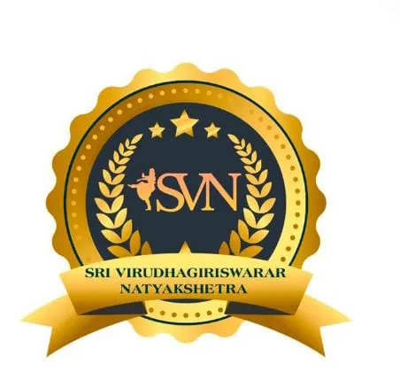 SVN DANCE ACADEMY