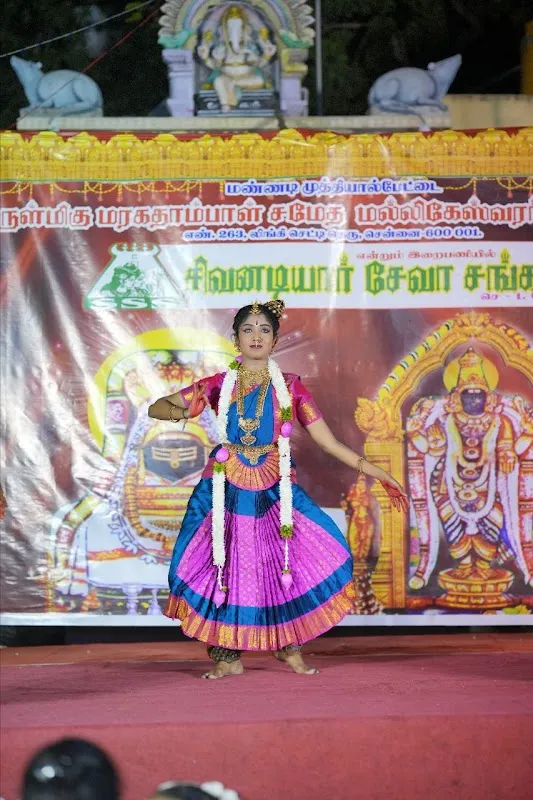 SVN DANCE ACADEMY