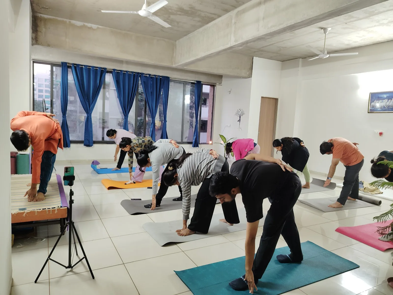 Samya Yoga Foundation