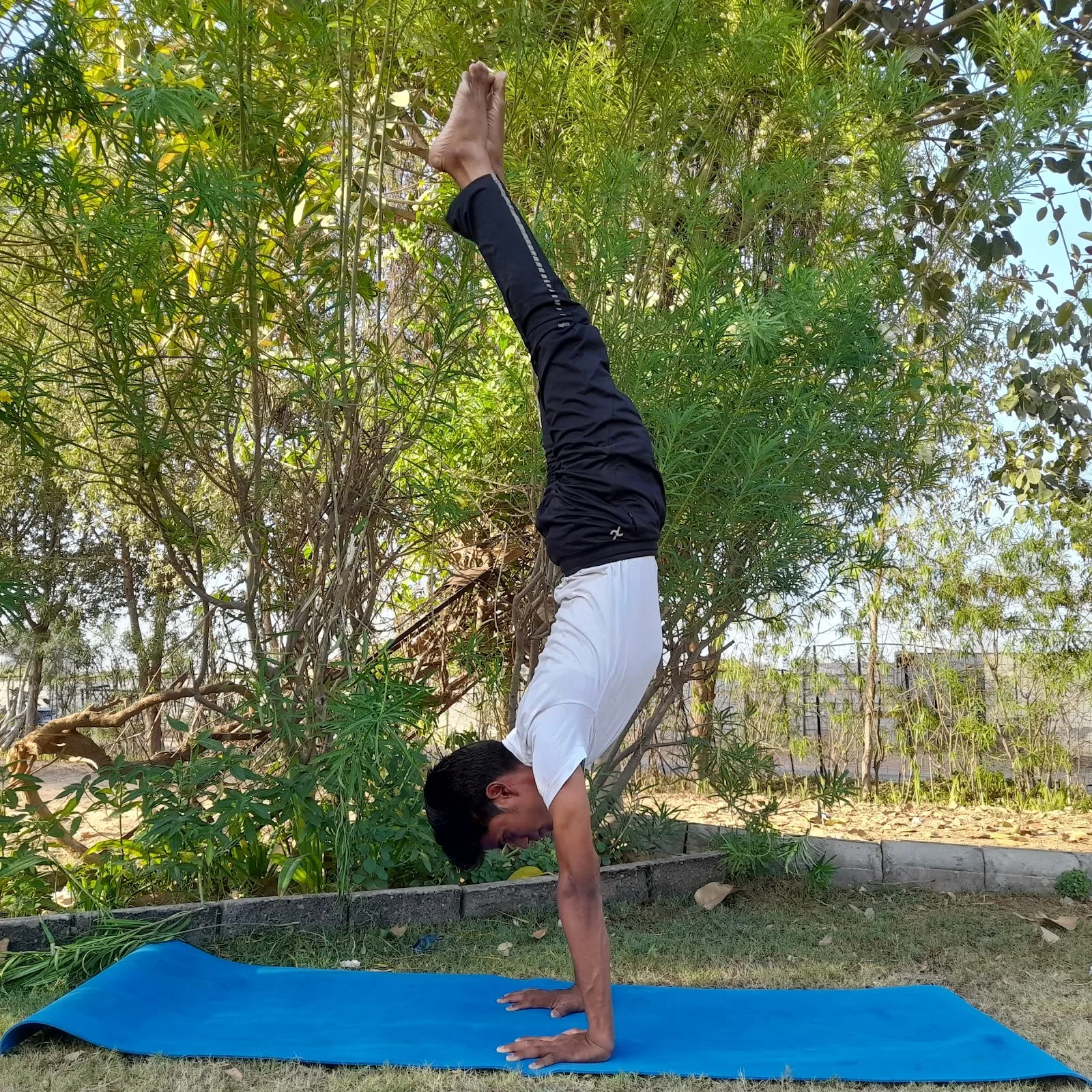 Samya Yoga Foundation