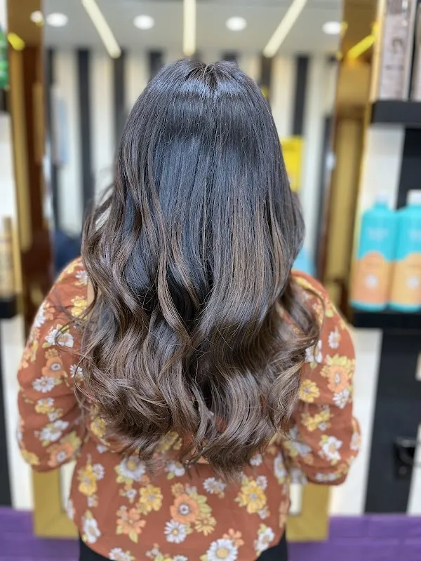 THE MORE LIGHT SALON