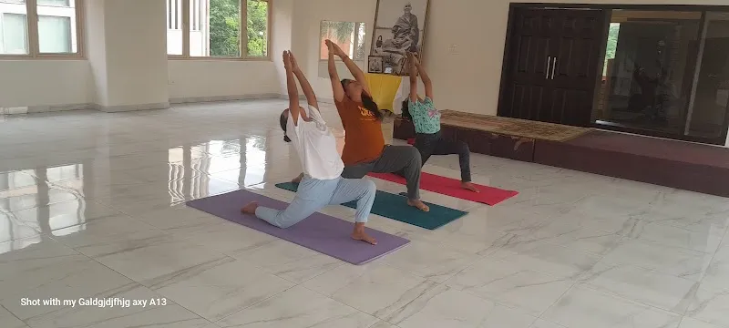 The Yoga Life