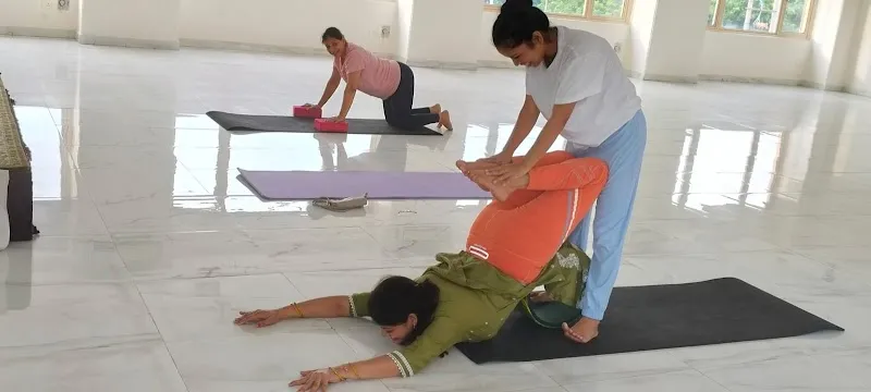 The Yoga Life