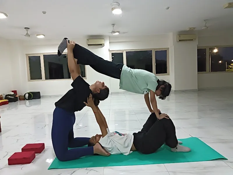 The Yoga Life