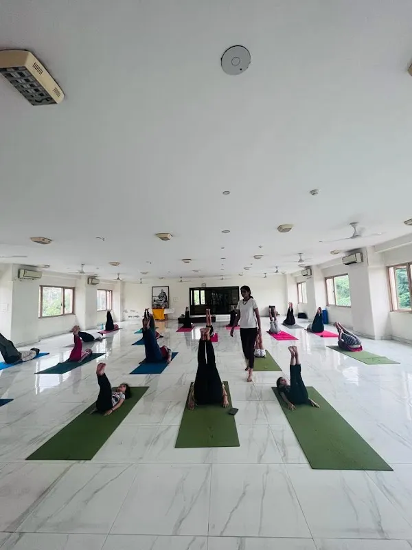 The Yoga Life