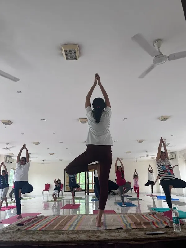The Yoga Life