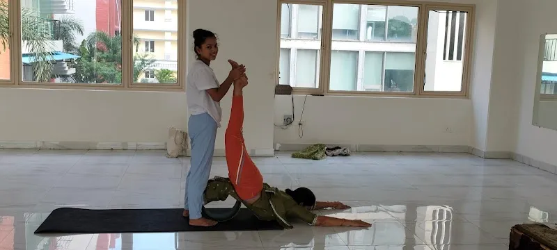 The Yoga Life
