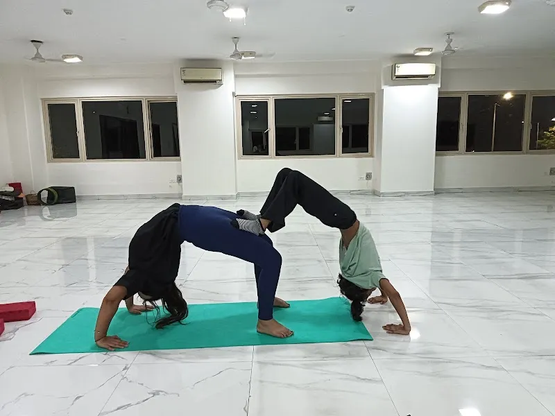 The Yoga Life