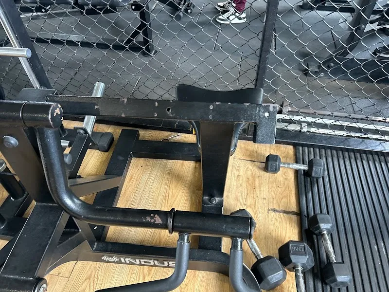 SAFFRON WOMEN'S GYM