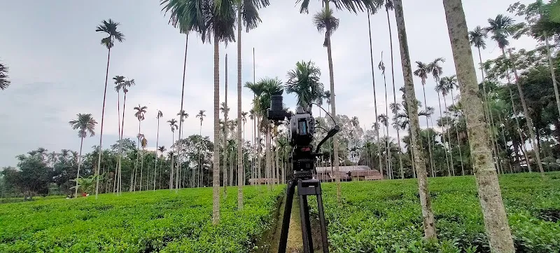 Red Media Production