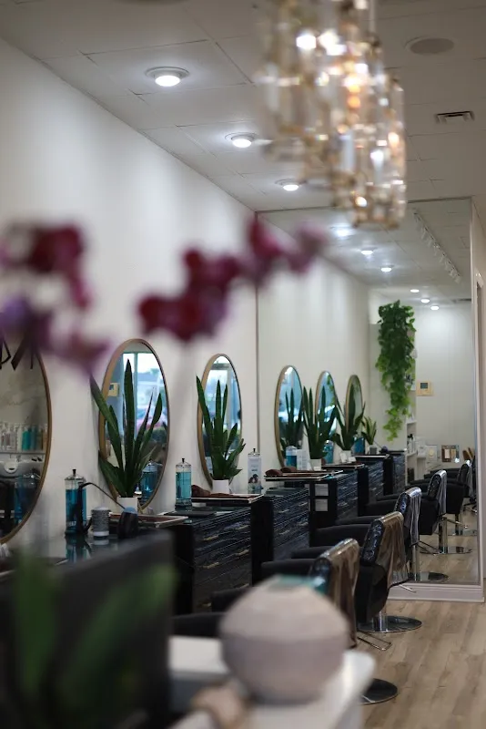 Musart Salon